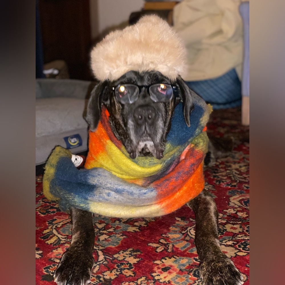 Meet your Posher, Cori